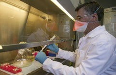 Анализ крови на вирус герпеса